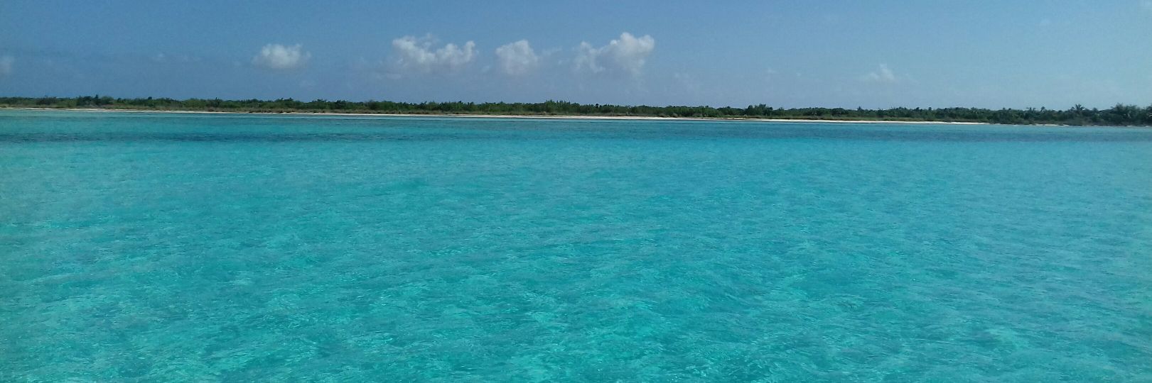 Pablo C. Barbieri banner