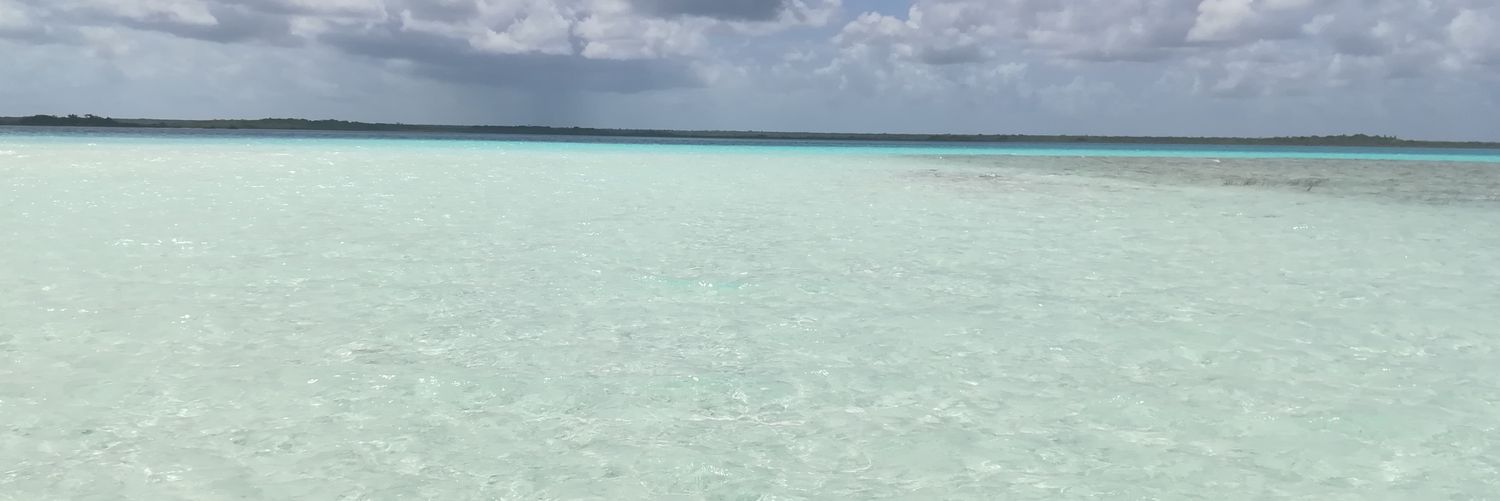 ocatano's profile banner image