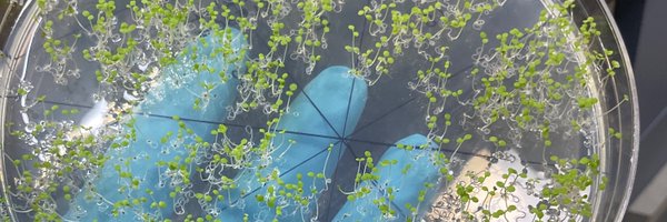 rajaneshchandra Profile Banner