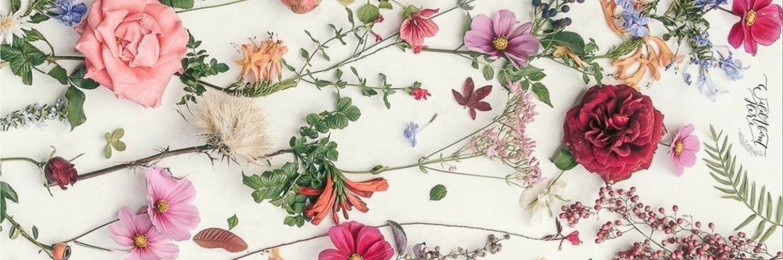 Michellmfd's profile banner image