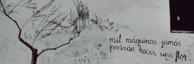 CorradoSamuel's profile banner image