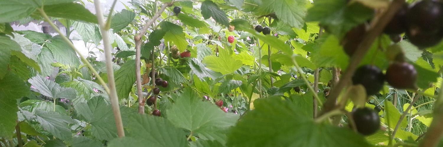 ⚫️ Thérèse  banner