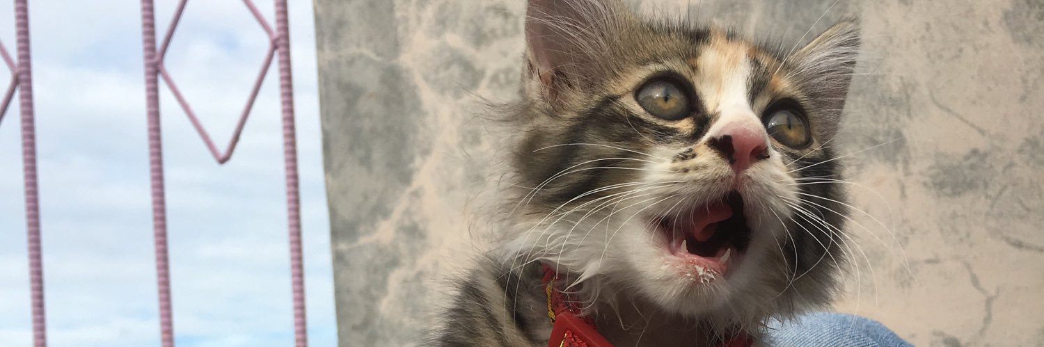kikimainaky's profile banner image