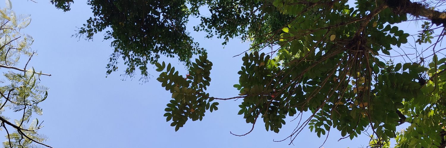 camilahelm's profile banner image