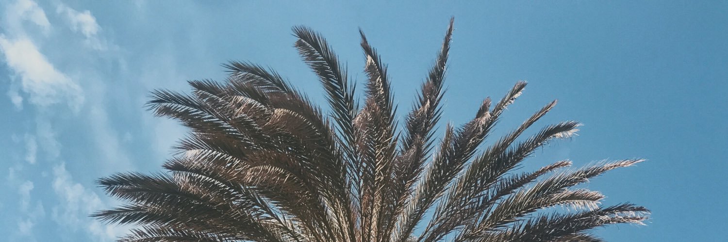 teraslaura's profile banner image