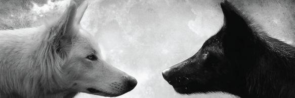 GreatThings123's profile banner image