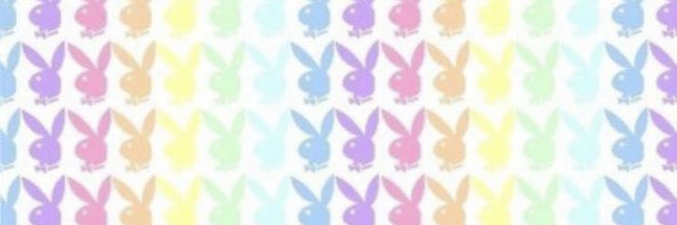 💖🐾Lil’ Miss Kitty Cat🐾💖 banner
