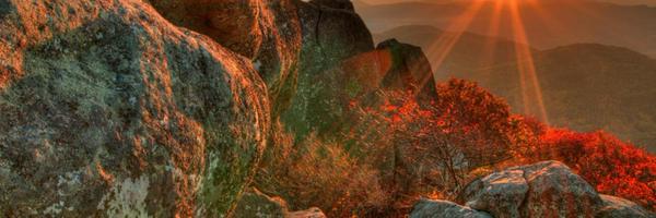 MSUATHLETICS Profile Banner