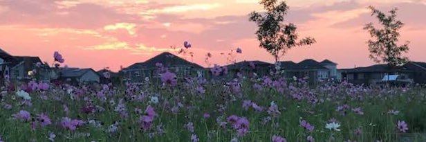 JessHann's profile banner image