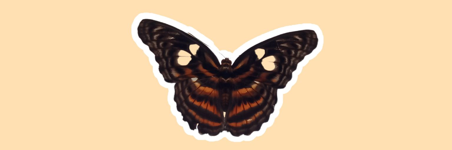 pu3________'s profile banner image