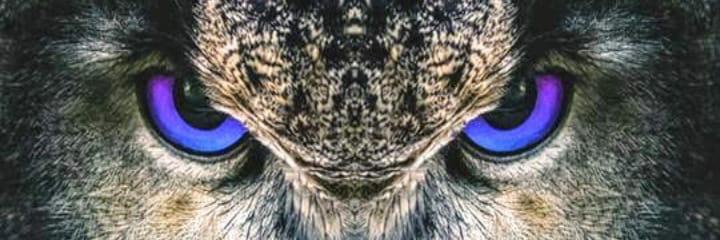 RPedro37's profile banner image