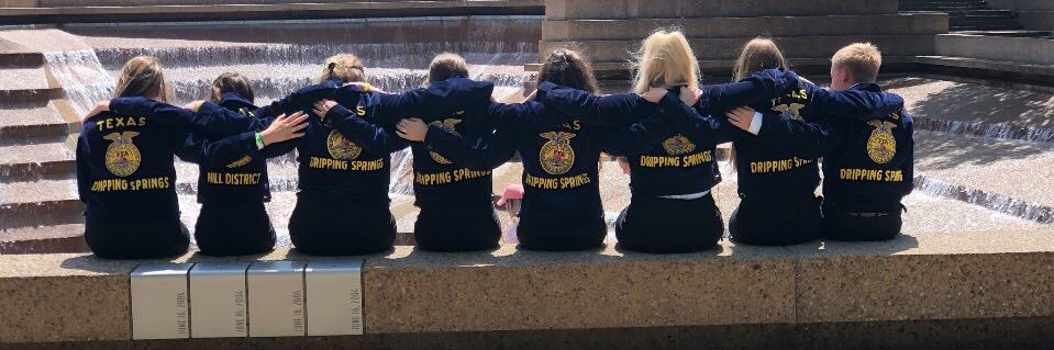 dsffa_'s profile banner image