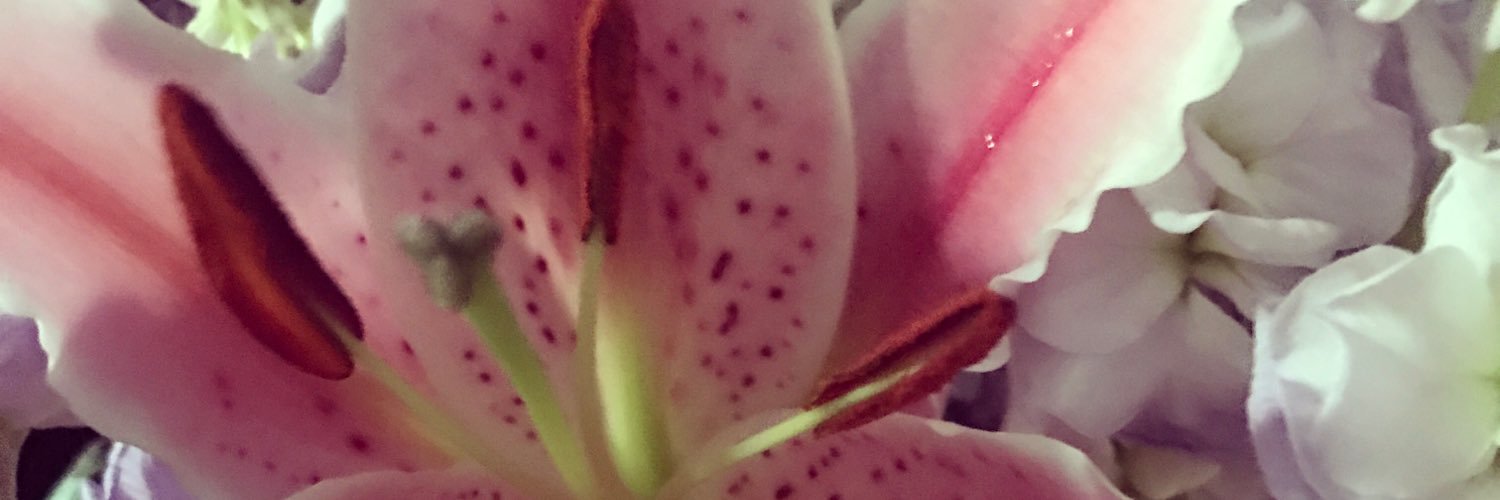 lauralou8518's profile banner image