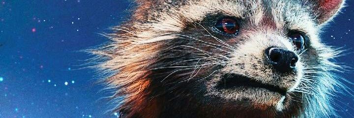 kakashiserch's profile banner image