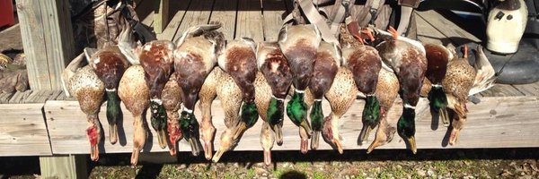 DevlinHodges10 Profile Banner