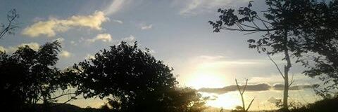 inelissc's profile banner image