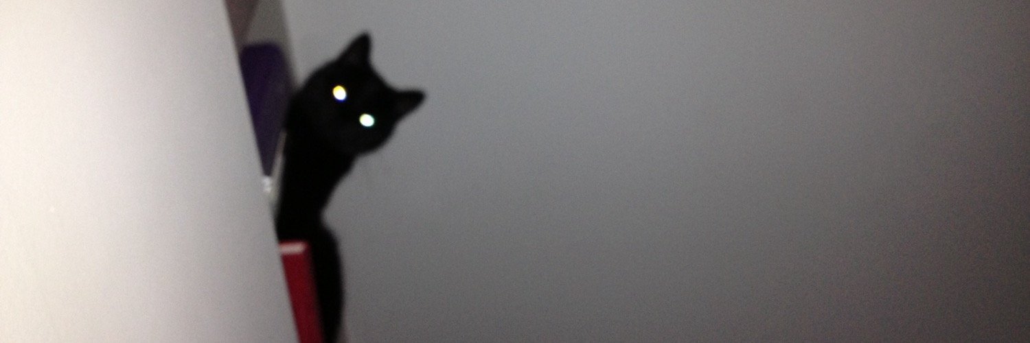 Lane_Bonnar's profile banner image