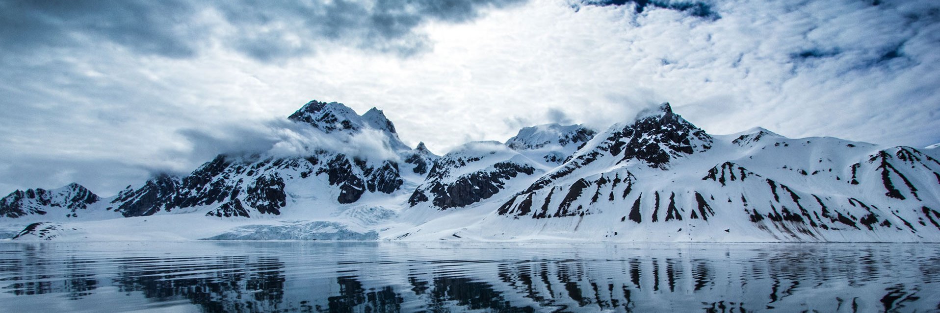 All Knives Matter banner