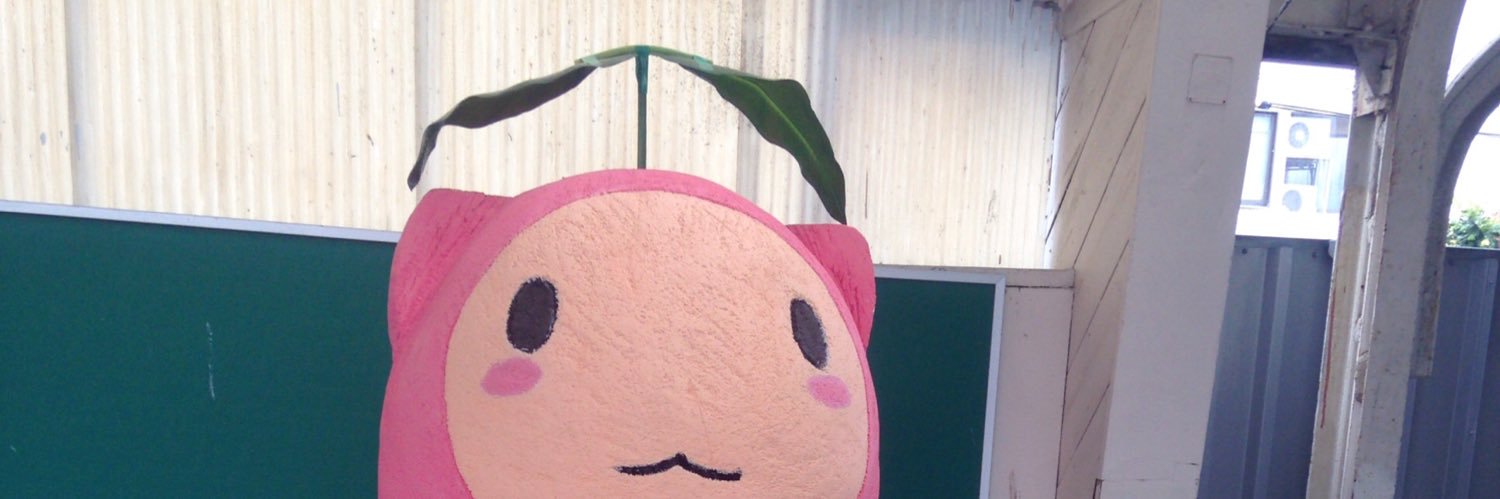 qa_z1l's profile banner image