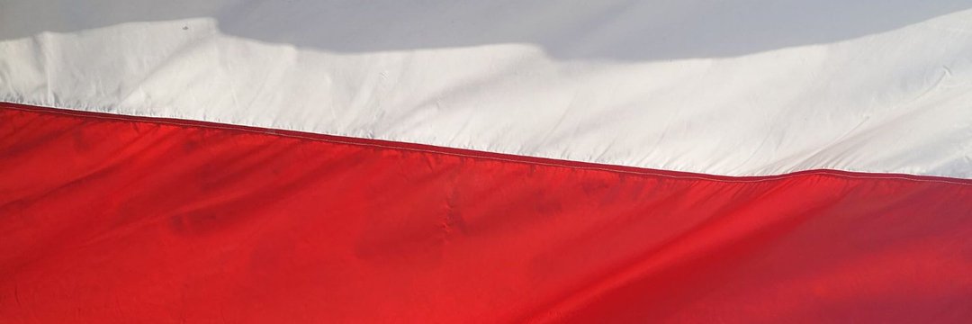 Albert Rychard Official ® banner