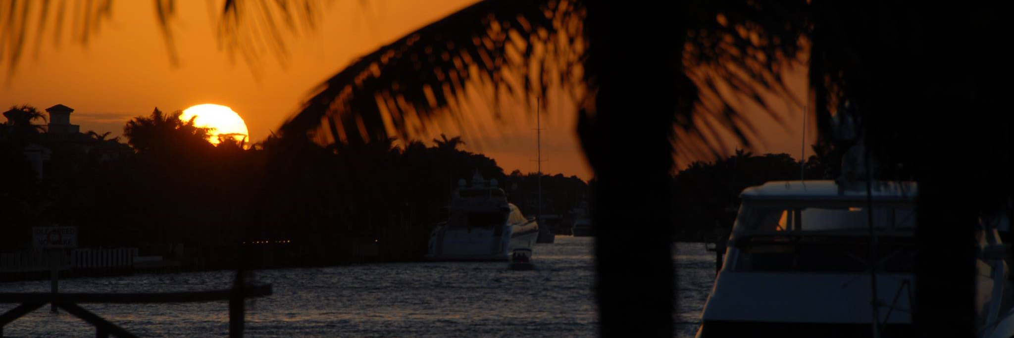 Juan William Jackson banner