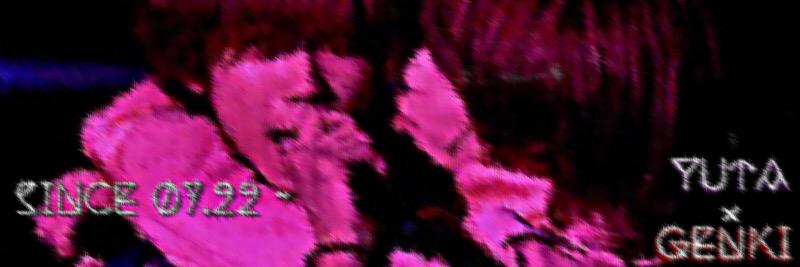 llllyyeee's profile banner image