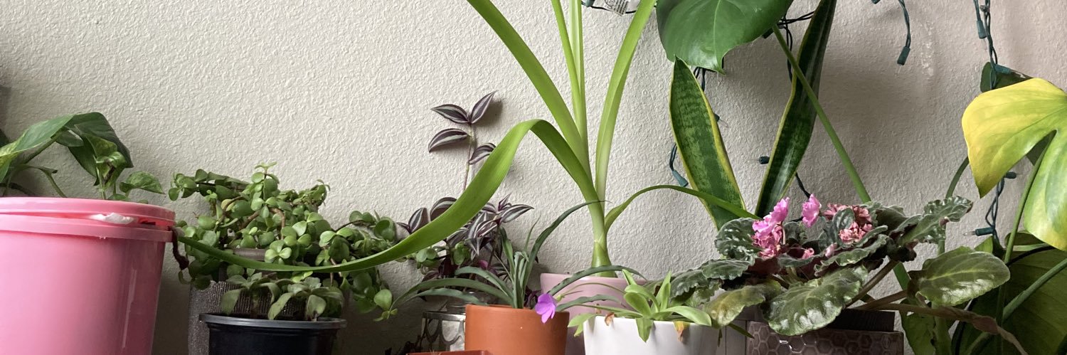 TheNotSoBella's profile banner image