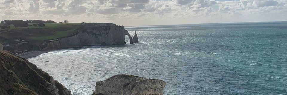 Steph_Signoret's profile banner image