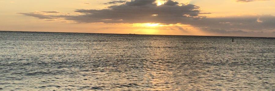 deandresant10's profile banner image