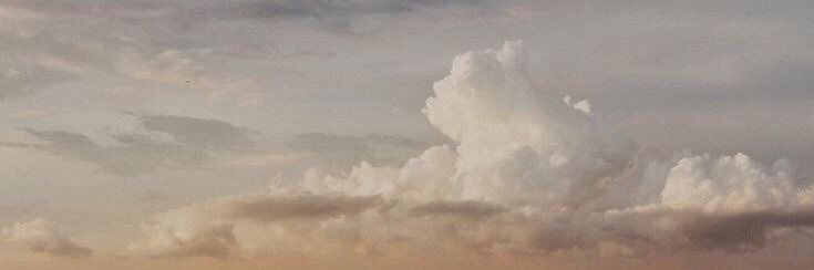 s. banner