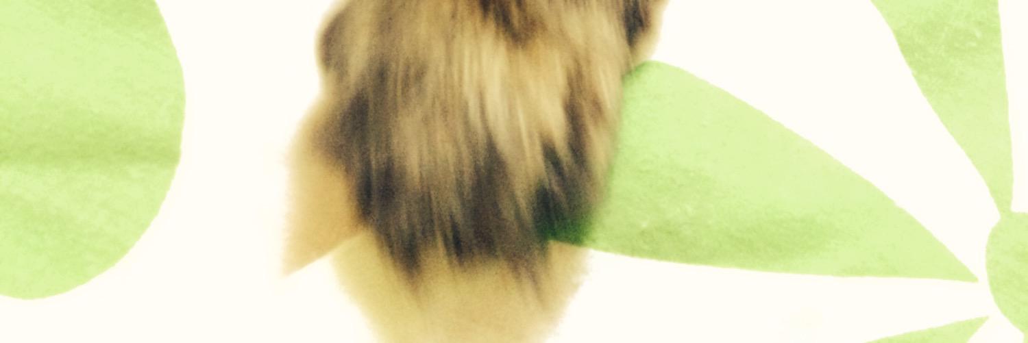 seranra's profile banner image