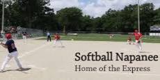 Softball Napanee banner