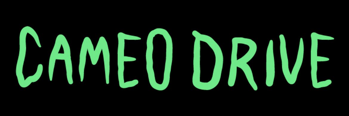 Cameo Drive banner