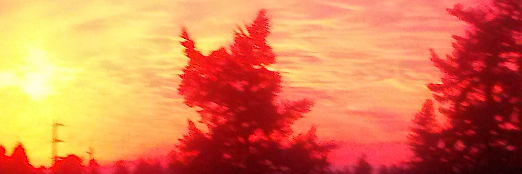 kneeddough's profile banner image