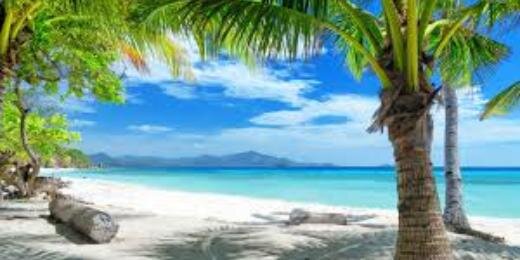 s_ally14's profile banner image