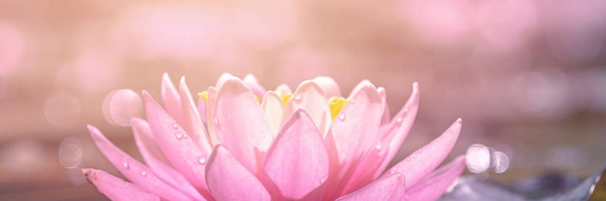 Minna1409's profile banner image