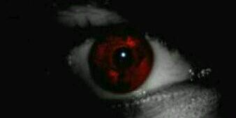 edelicioso banner