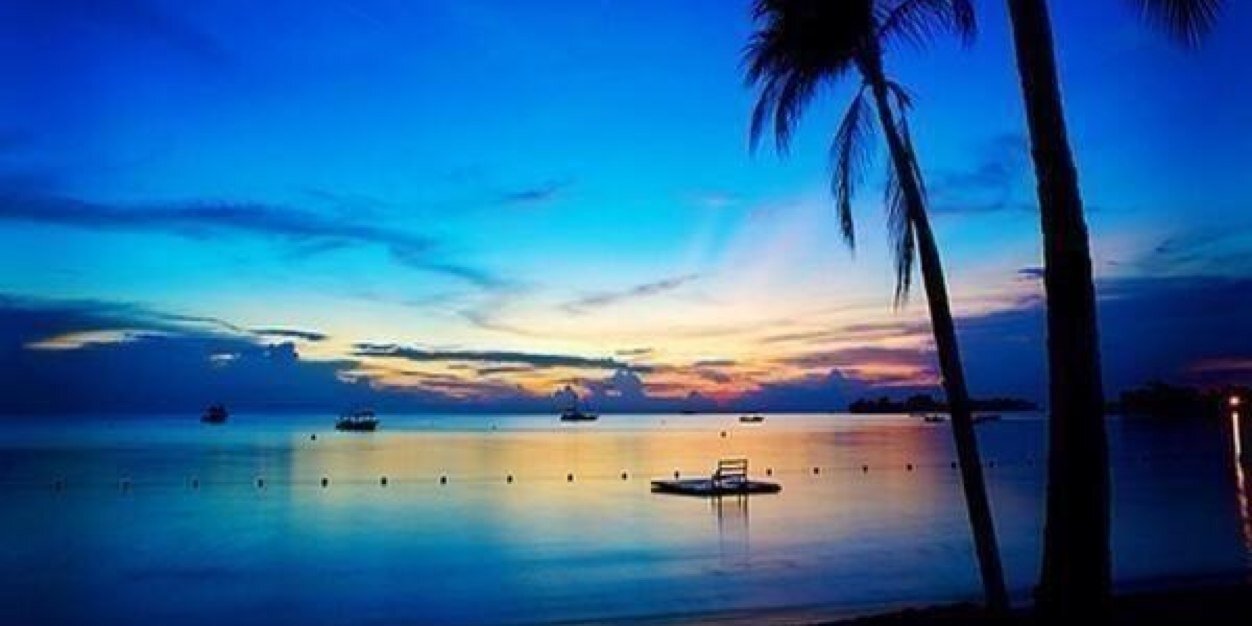 ammonagas's profile banner image