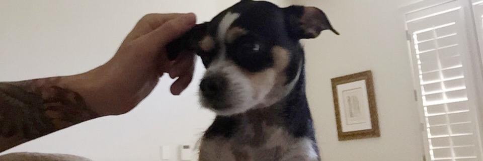 zacharykrassin's profile banner image