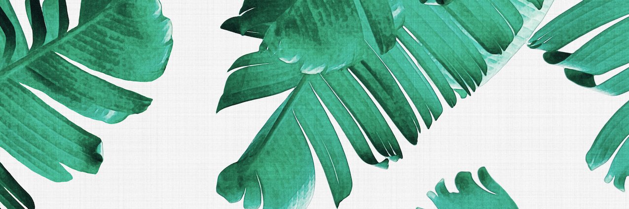 farahfrecks's profile banner image