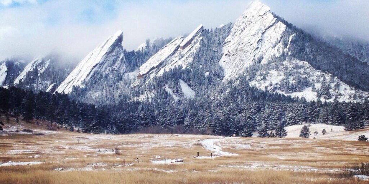 Clayton Ellis banner