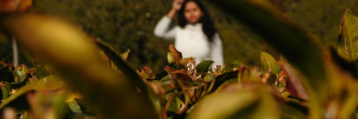 lastshivani's profile banner image