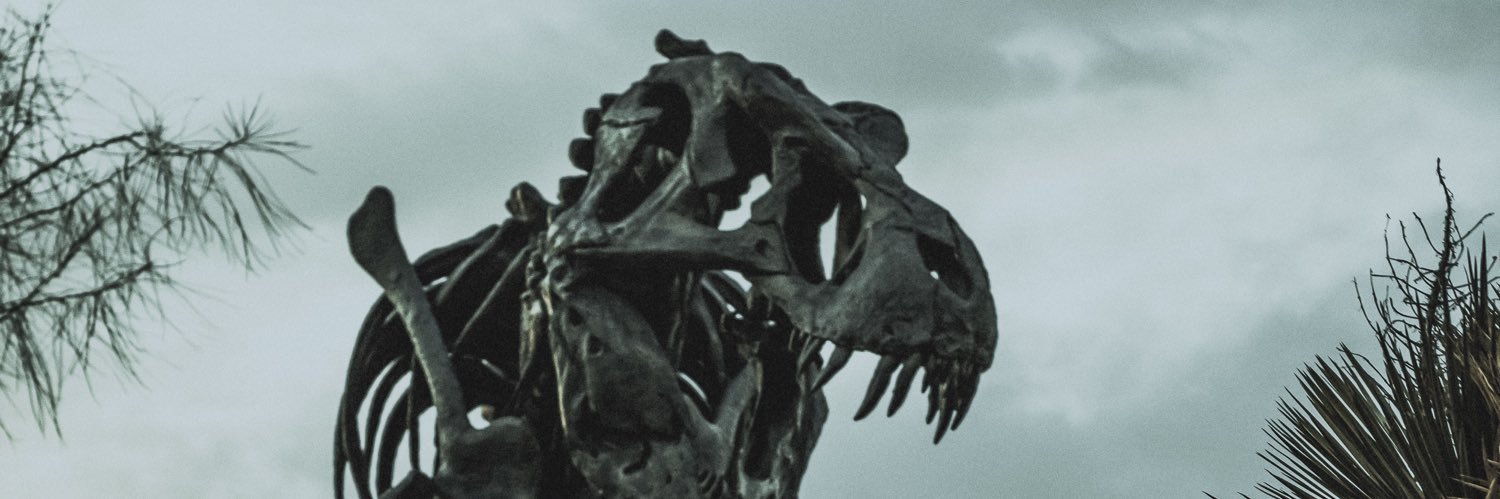 EdwinLS4's profile banner image