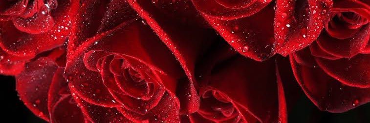 Rema_pi's profile banner image