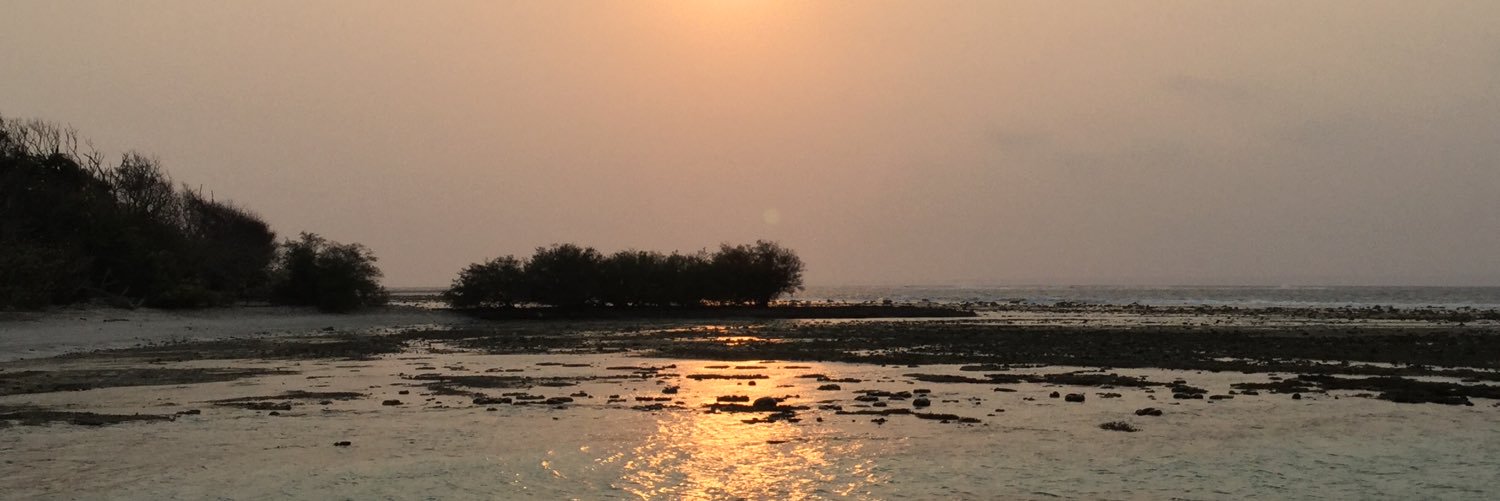 dvtriawan's profile banner image