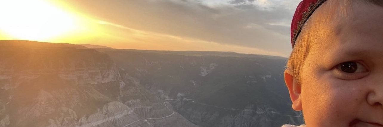 nick. banner
