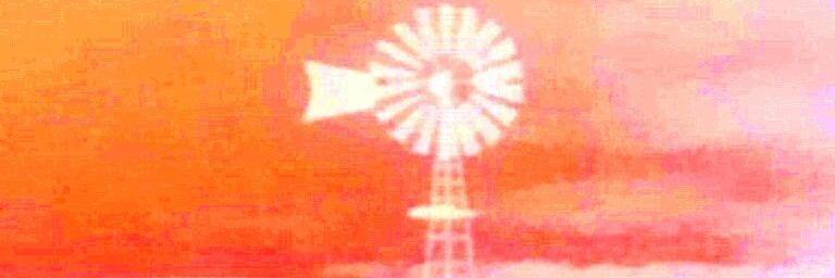 JadeWil173's profile banner image