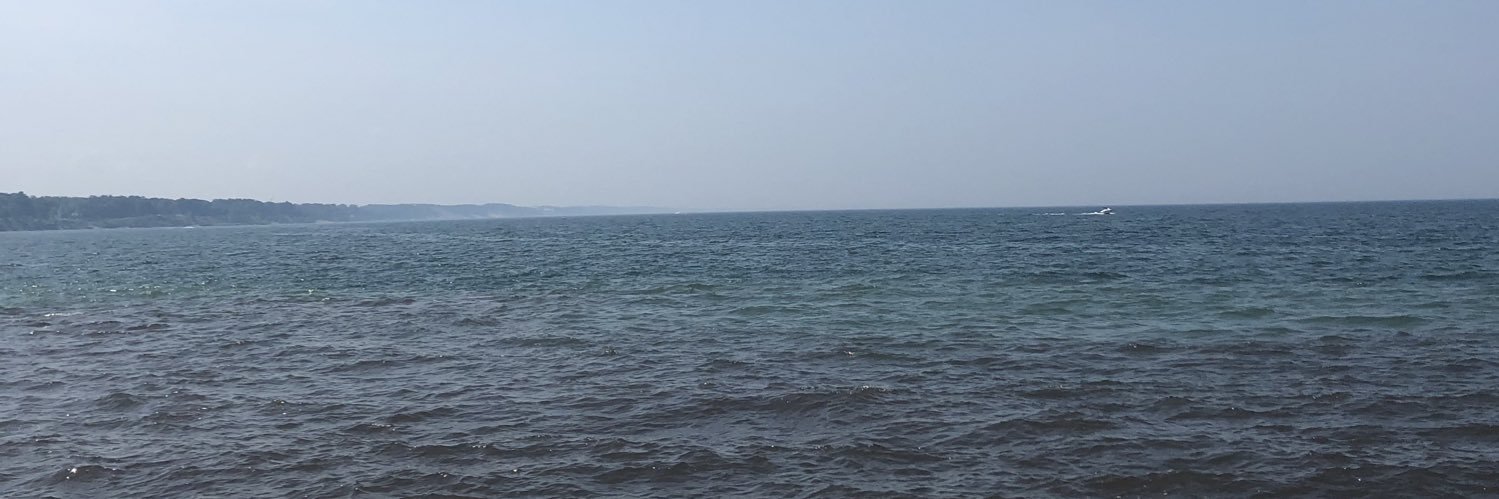 Jacqueline Beyer banner