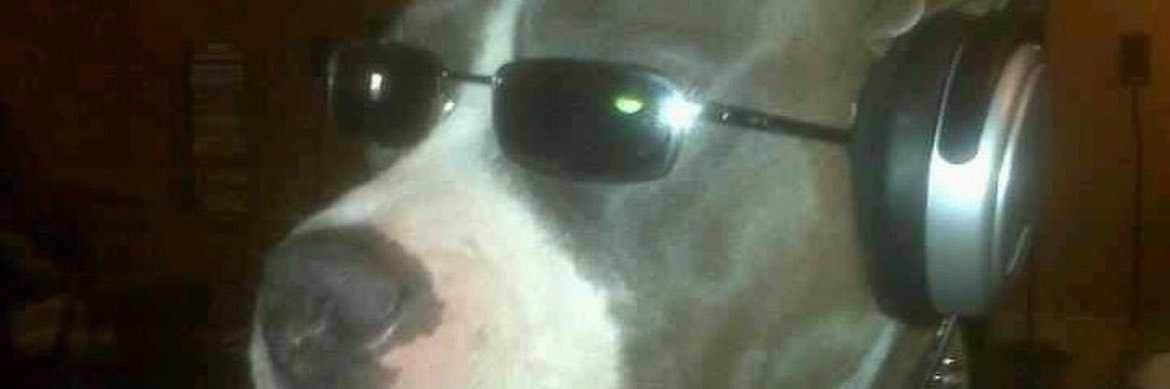 Johnson_ryan13's profile banner image