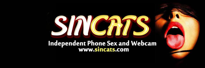 Sin Cats banner